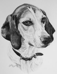 Jessie Trail Hound